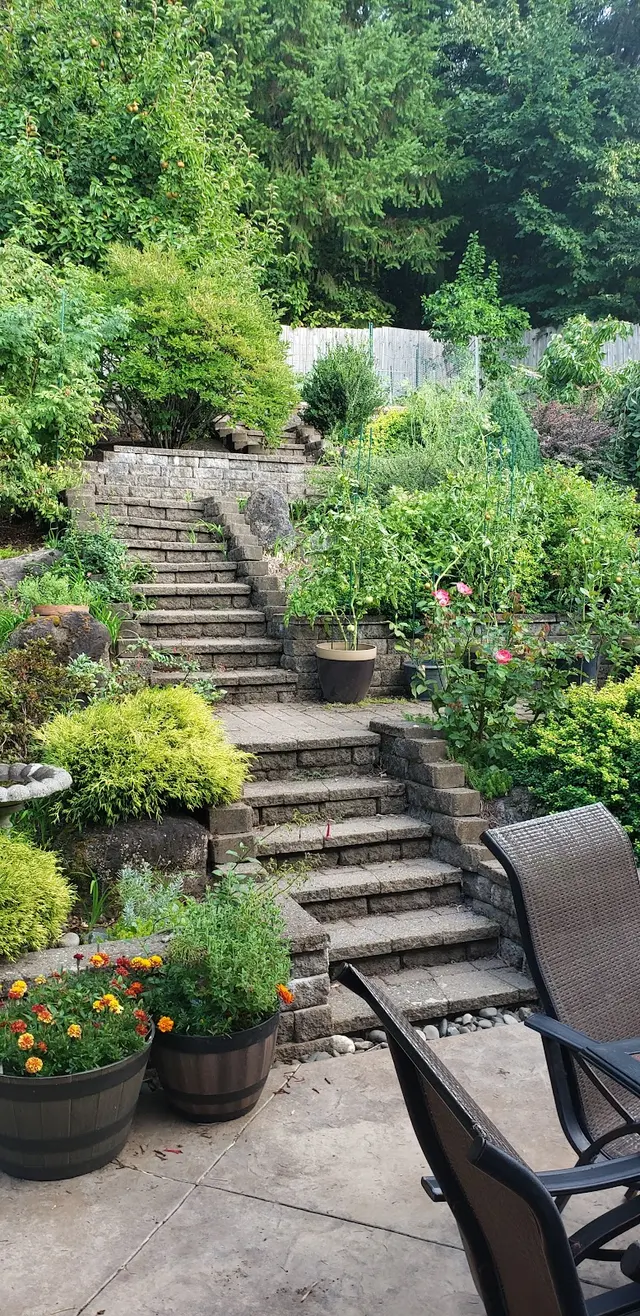 Ant & Garden Organic Pest Control — customer photo 5