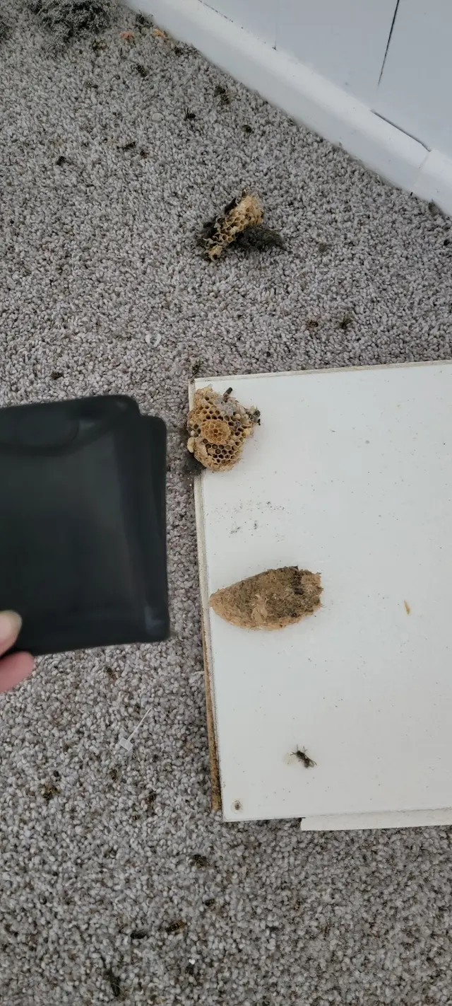 Ant & Garden Organic Pest Control — customer photo 10