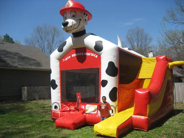 Jimbos Inflatable Party Rentals — photo from the business 5