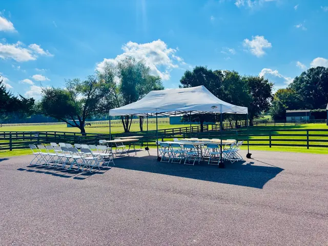 901 Memphis Event Rentals — photo from the business 7