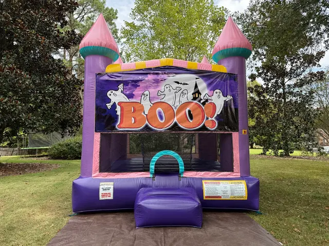 Tiky Jumps Inflatables, LLC. — photo from the business 11