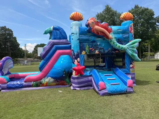 Tiky Jumps Inflatables, LLC. — photo from the business 5