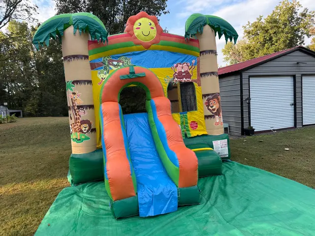 Tiky Jumps Inflatables, LLC. — photo from the business 6
