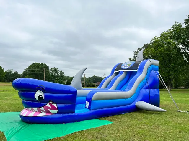 Tiky Jumps Inflatables, LLC. — photo from the business 2
