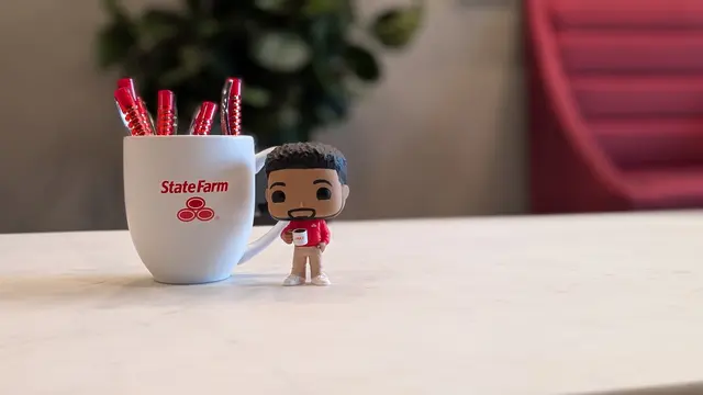 Ron DeMyers - State Farm Insurance Agent — photo from the business 12