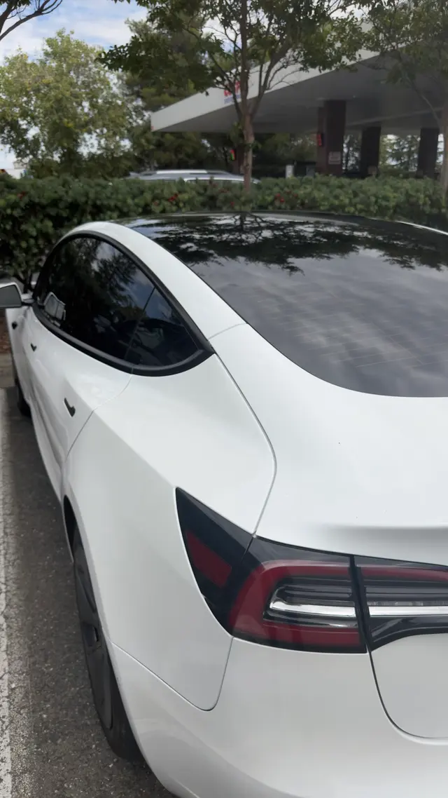 Vivid Optic TINT & PPF — customer photo 6