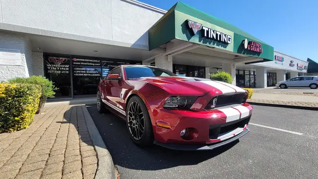 Vivid Optic TINT & PPF — photo from the business 2