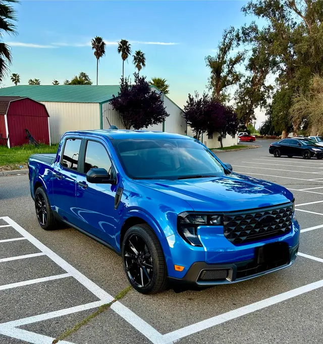 Vivid Optic TINT & PPF — customer photo 11