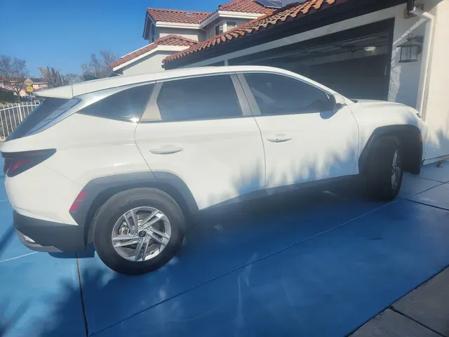 Blackout Tint — customer photo 4
