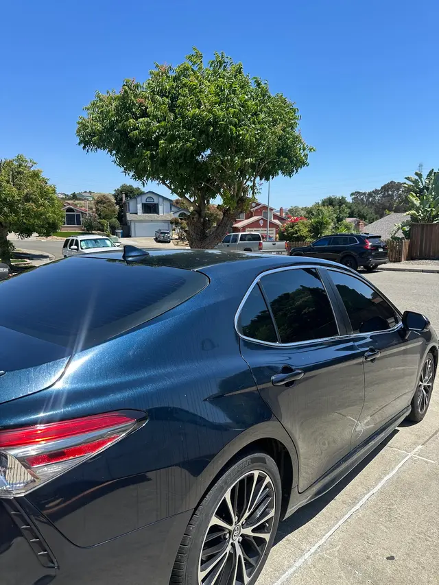 Blackout Tint — customer photo 3