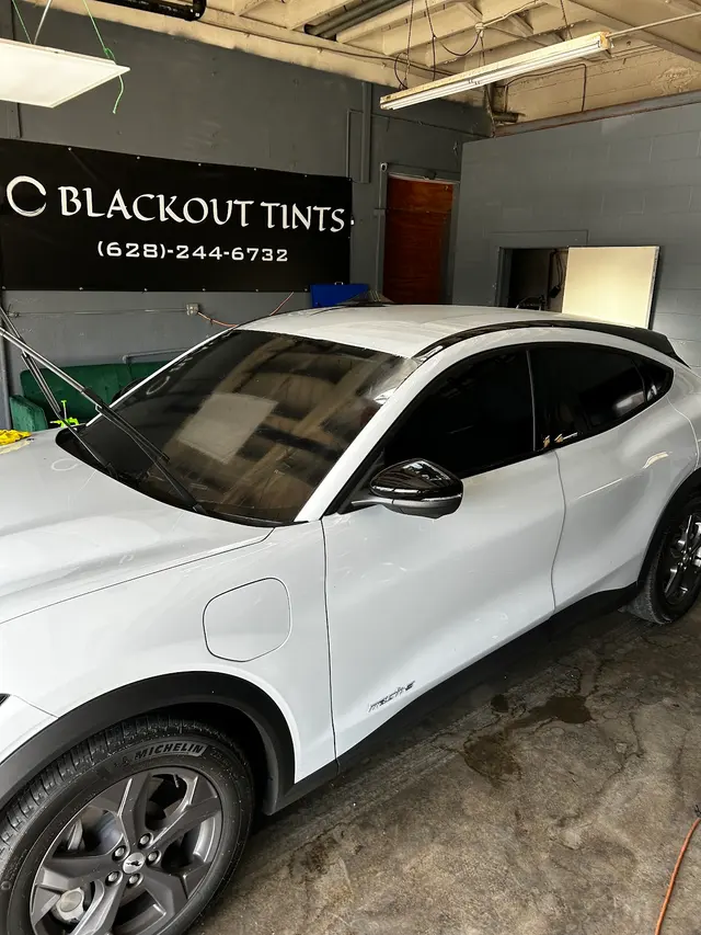 Blackout Tint — photo from the business 7