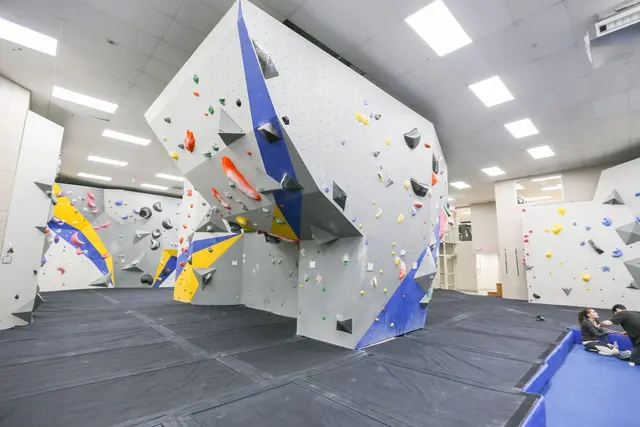 Central Rock Gym - Framingham — photo from the business 1
