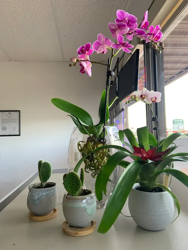 Pain Be Gone Massage LLC — photo from the business 7