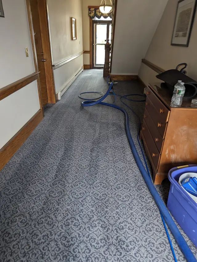 Procare Carpet & Upholstery Cleaning — photo from the business 1