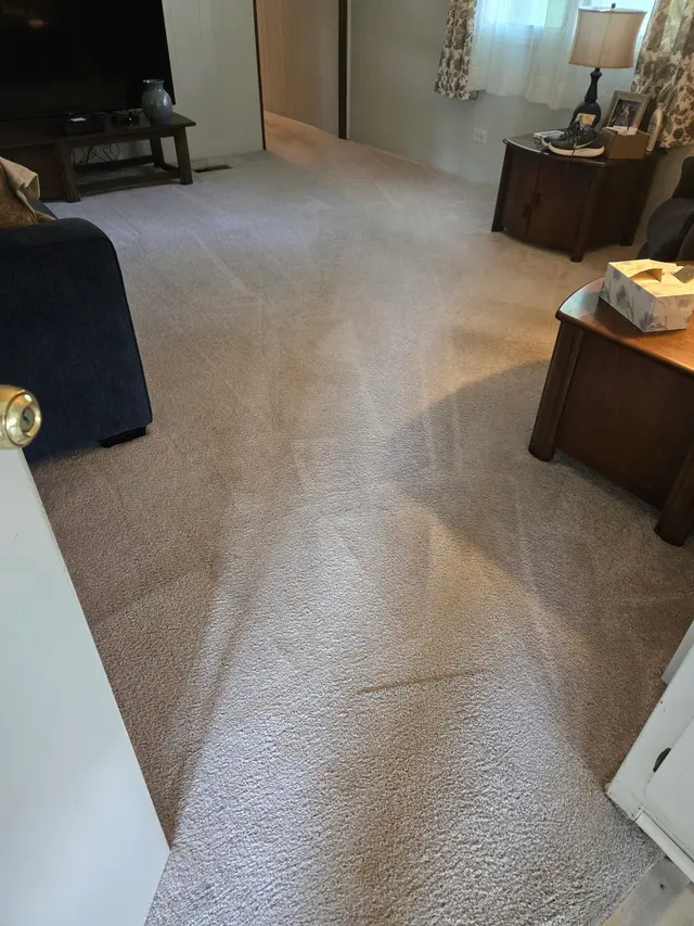 Customer photo of work by Procare Carpet & Upholstery Cleaning, from Laurie Rose's review