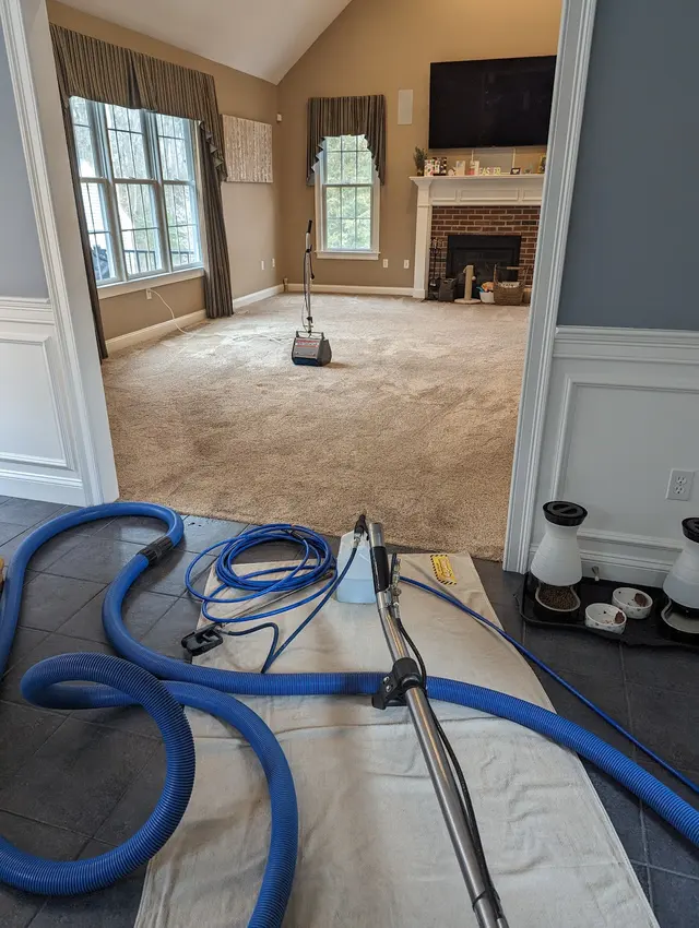 Procare Carpet & Upholstery Cleaning — photo from the business 2