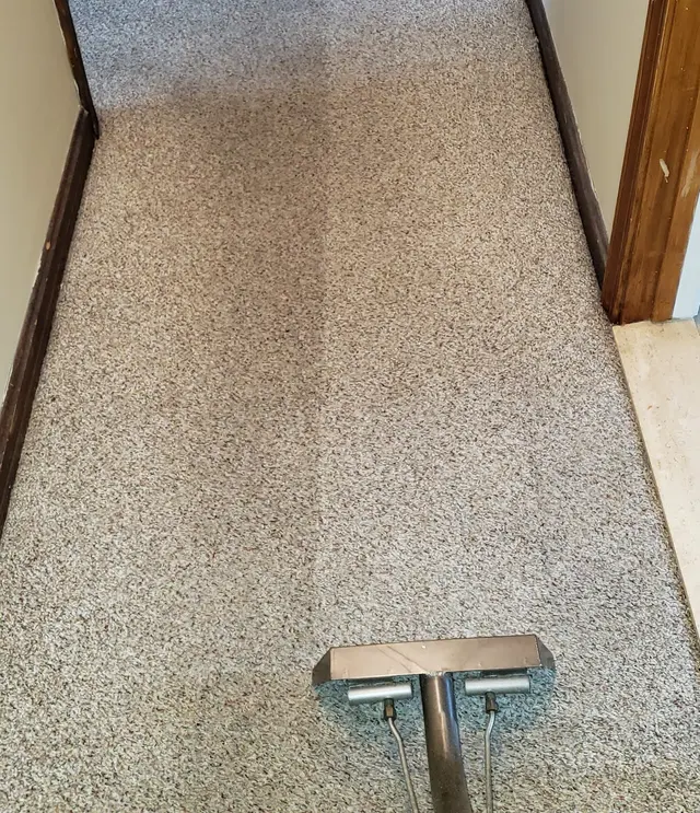 Josh's Carpet & Upholstery Cleaning — photo from the business 4