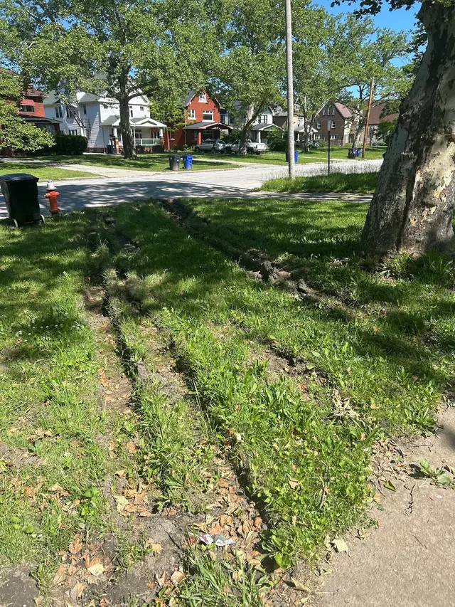 Cleveland Dumpsters — customer photo 9