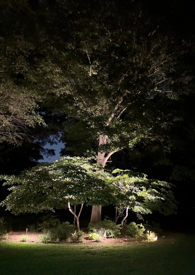 Outdoor Lighting Solutions — photo from the business 3