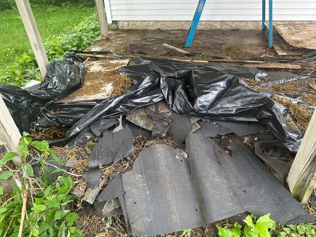 Tazmanian Dumpsters LLC — customer photo 7