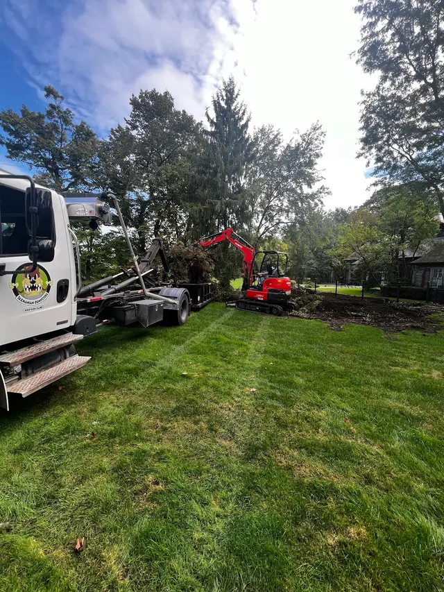 Tazmanian Dumpsters LLC — photo from the business 11