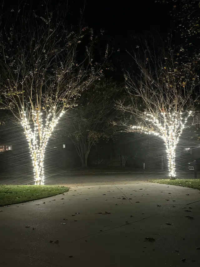 Spruce Lighting—Holiday & Events — customer photo 7