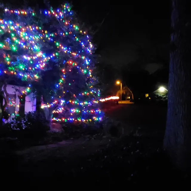 Customer photo of work by Spruce Lighting—Holiday & Events, from Cynthia Gibson's review