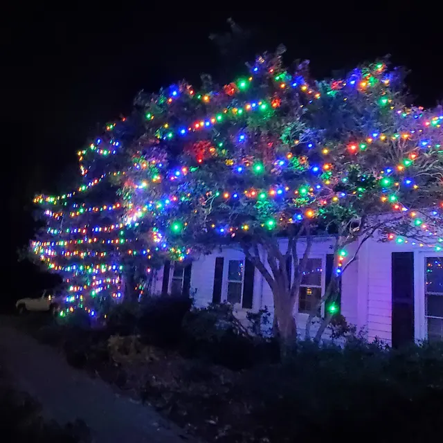 Spruce Lighting—Holiday & Events — customer photo 12