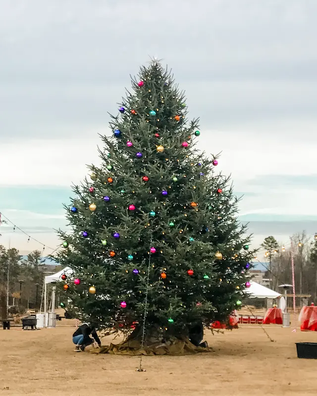 Spruce Lighting—Holiday & Events — photo from the business 9
