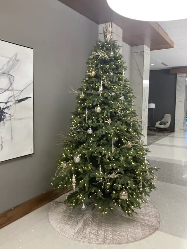 Spruce Lighting—Holiday & Events — photo from the business 10