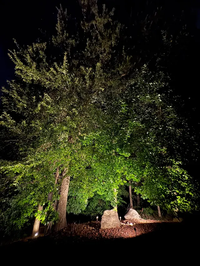 Luminosity Outdoor Lighting — photo from the business 11