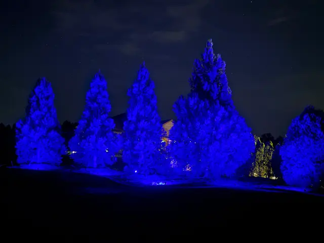 Luminosity Outdoor Lighting — photo from the business 7
