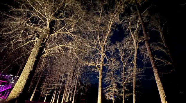 Luminosity Outdoor Lighting — photo from the business 10