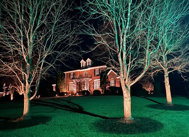 Luminosity Outdoor Lighting — photo from the business 12