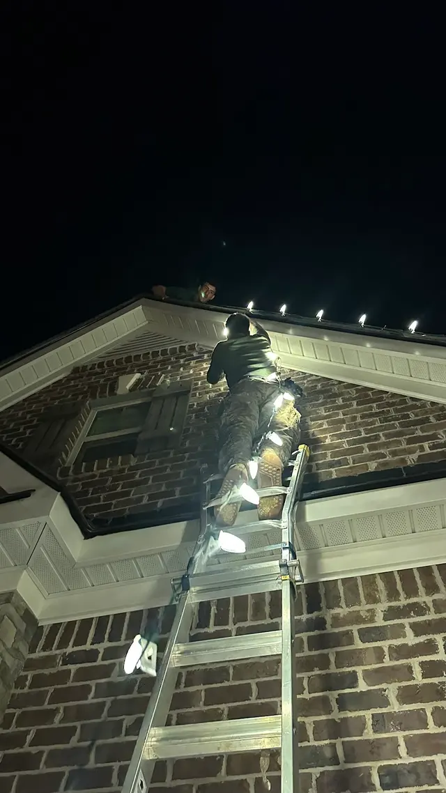 Yard Sarge Christmas Lights — photo from the business 6