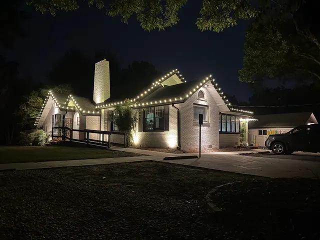 Yard Sarge Christmas Lights — photo from the business 1