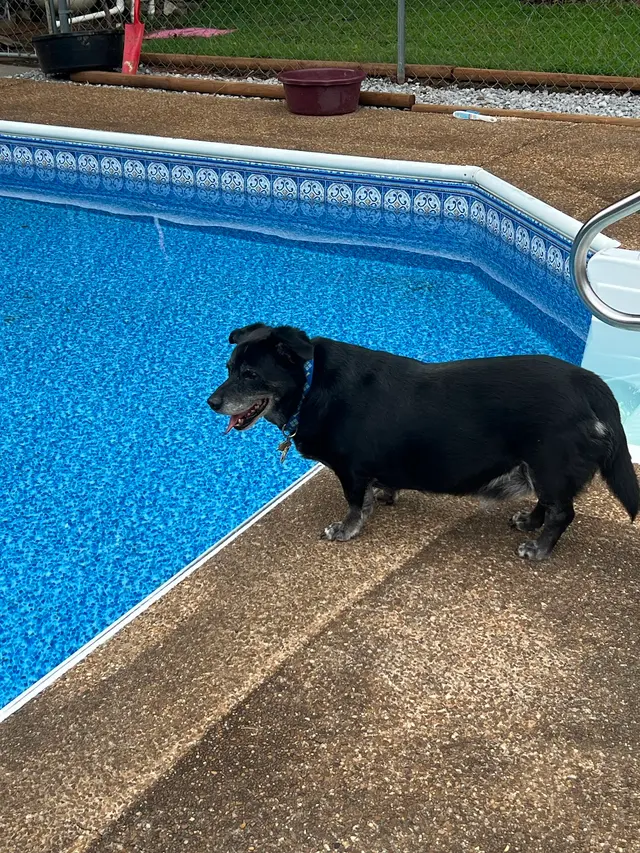 Liner Pro Of Memphis — customer photo 8