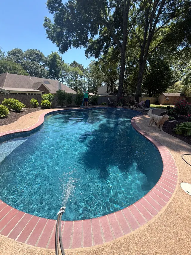 Hawaiian Pools and Landscape — customer photo 2