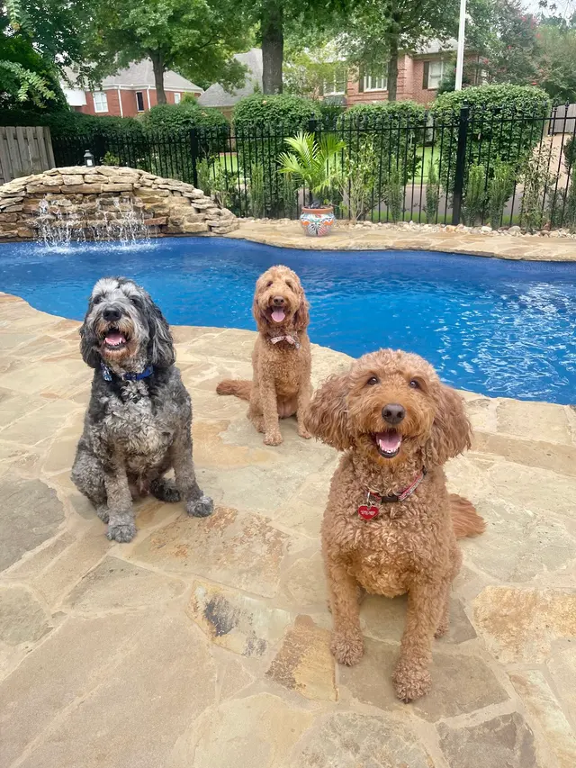 Mid-South Perfect Pools — customer photo 10