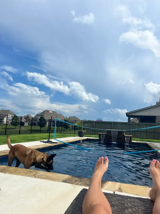 Customer photo of work by Mid-South Perfect Pools, from Brad Harvey's review