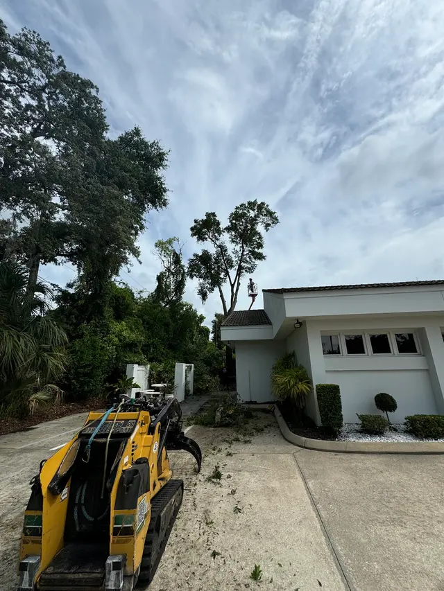 Groskey's Tree Service — photo from the business 8