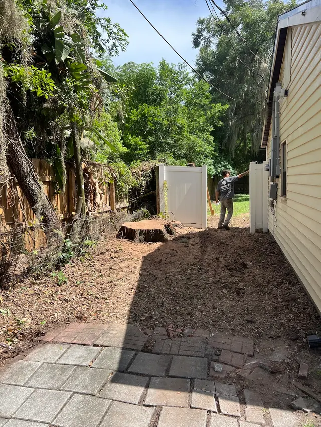 Groskey's Tree Service — customer photo 10