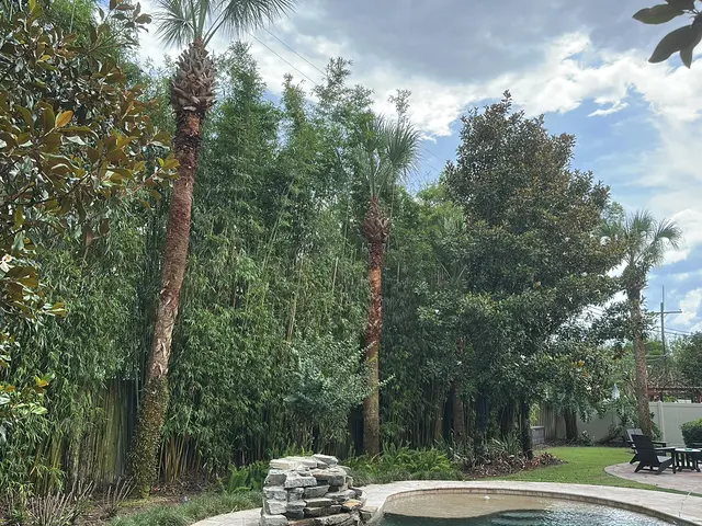 Customer photo of work by Groskey's Tree Service, from Brittany Lowe's review
