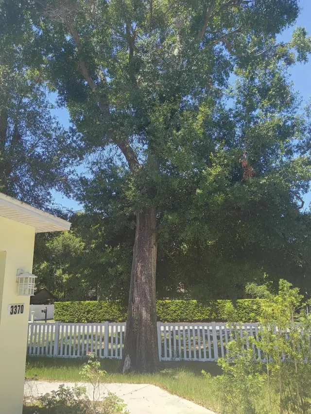 Groskey's Tree Service — customer photo 5