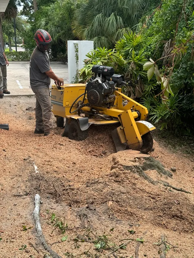 Groskey's Tree Service — photo from the business 9