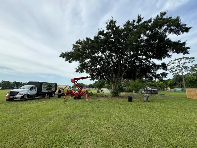 Groskey's Tree Service — photo from the business 1