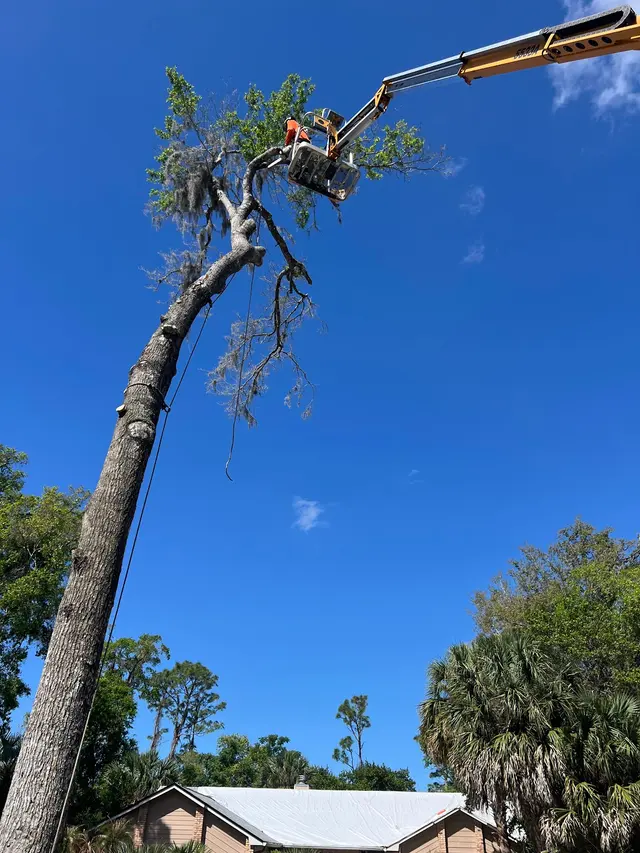 THERE'S A WAY TREE SERVICE LLC — photo from the business 6