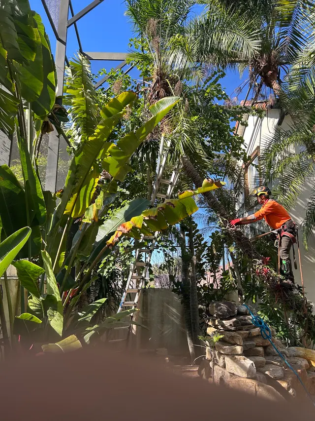 THERE'S A WAY TREE SERVICE LLC — photo from the business 10