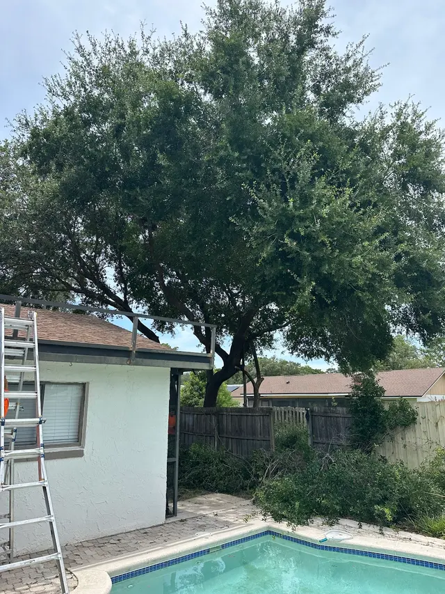 THERE'S A WAY TREE SERVICE LLC — customer photo 9