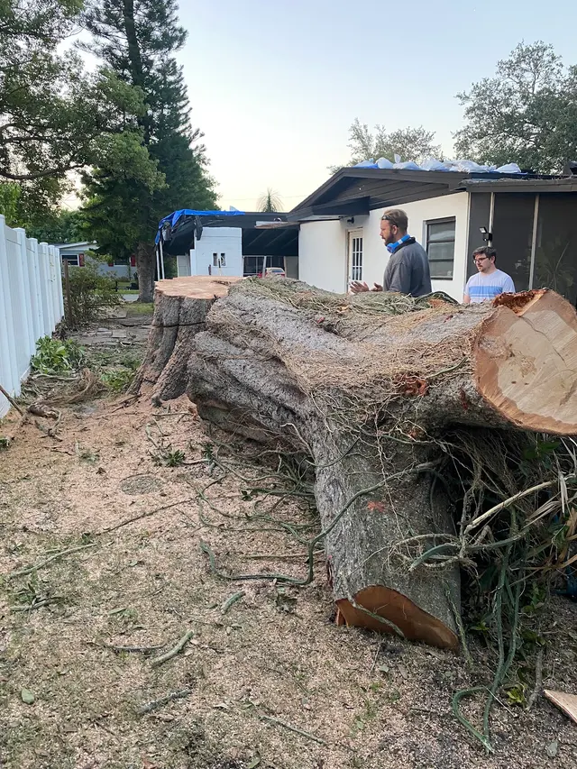 Customer photo of work by THERE'S A WAY TREE SERVICE LLC, from Bryan Frost's review